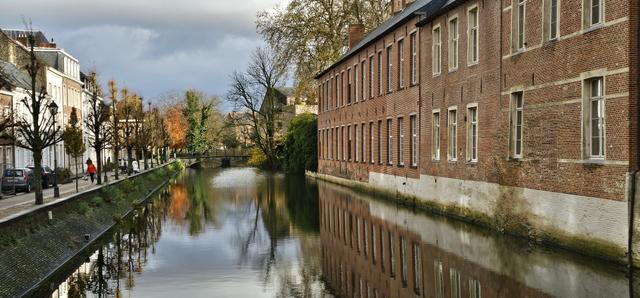 Meer groen in uw straat, zonder anti-autobeleid