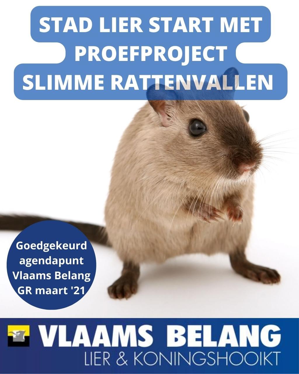 LIER START PROEFPROJECT SLIMME RATTENVALLEN