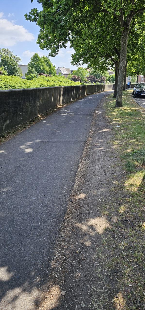 ‘Eerste hulp bij straatschade’: Lier heeft nood aan een snelle interventieploeg