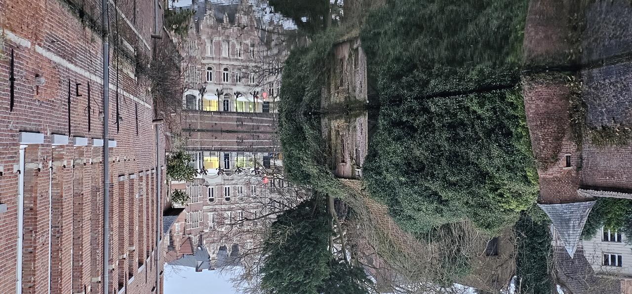 Gemiste kansen en gebrek aan visie