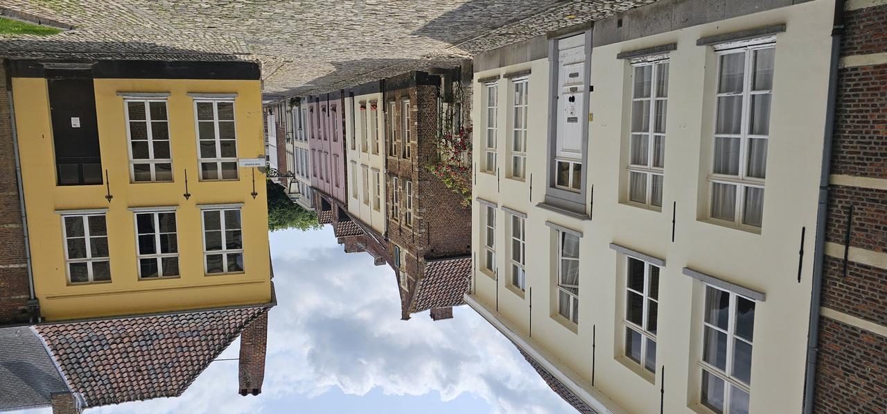 Politiek Jaaroverzicht 2024-2025: Vlaams Belang in Beweging