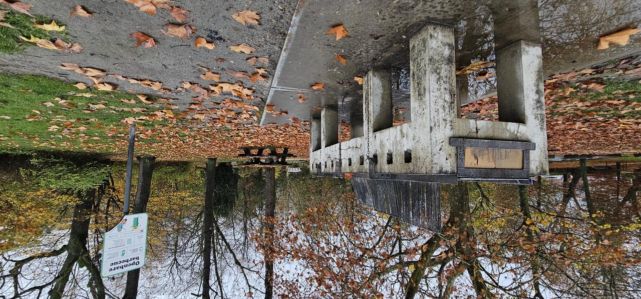 Barbecues weg uit het stadspark: eindelijk ingrijpen