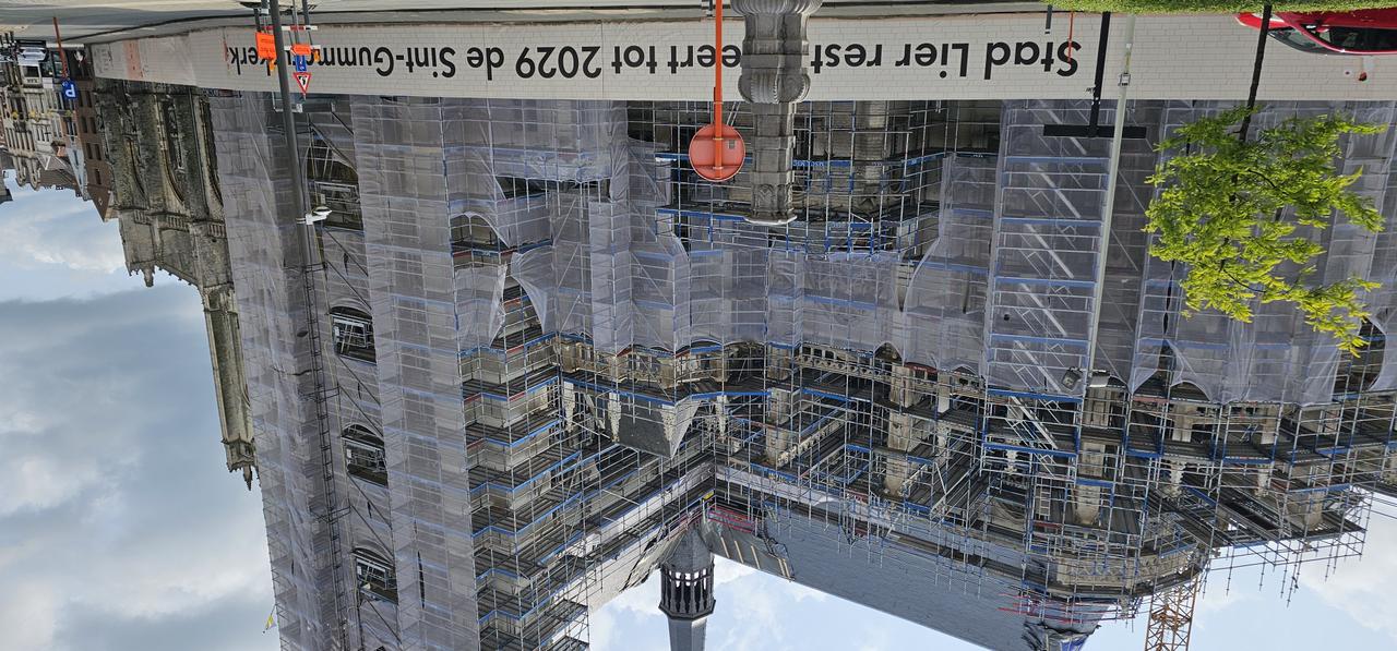 Onze Lierse Rubens: de vergeten kwestie