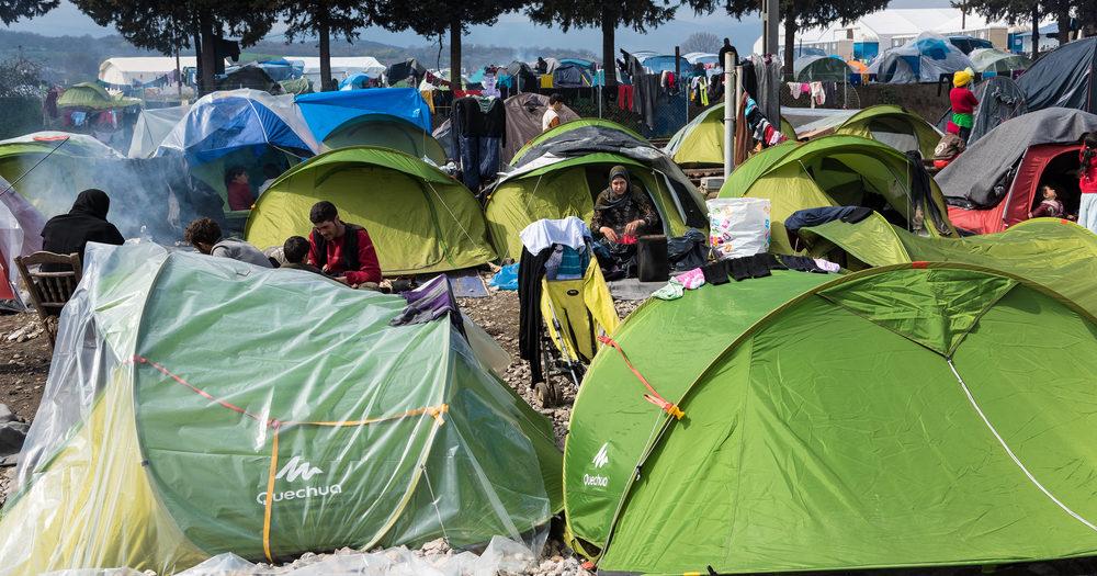 Vivaldi-partijen en PVDA keuren oproep om kinderen uit Griekse kampen op te vangen goed