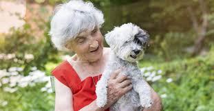 Partij voor de Dieren kiest voor Vlaams Belang  ​