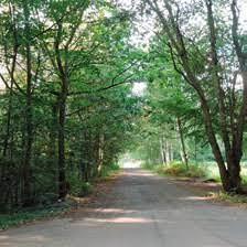 Verwaarlozing beschermde groenzones wijk De List