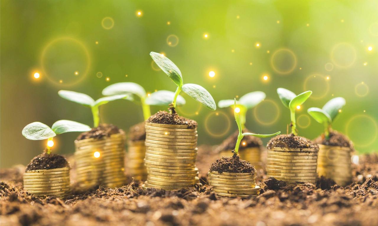 Tot 20.000 euro subsidie voor klimaatprojecten