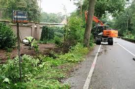 Gekapte bomen Botermelkbaan "elders" gecompenseerd