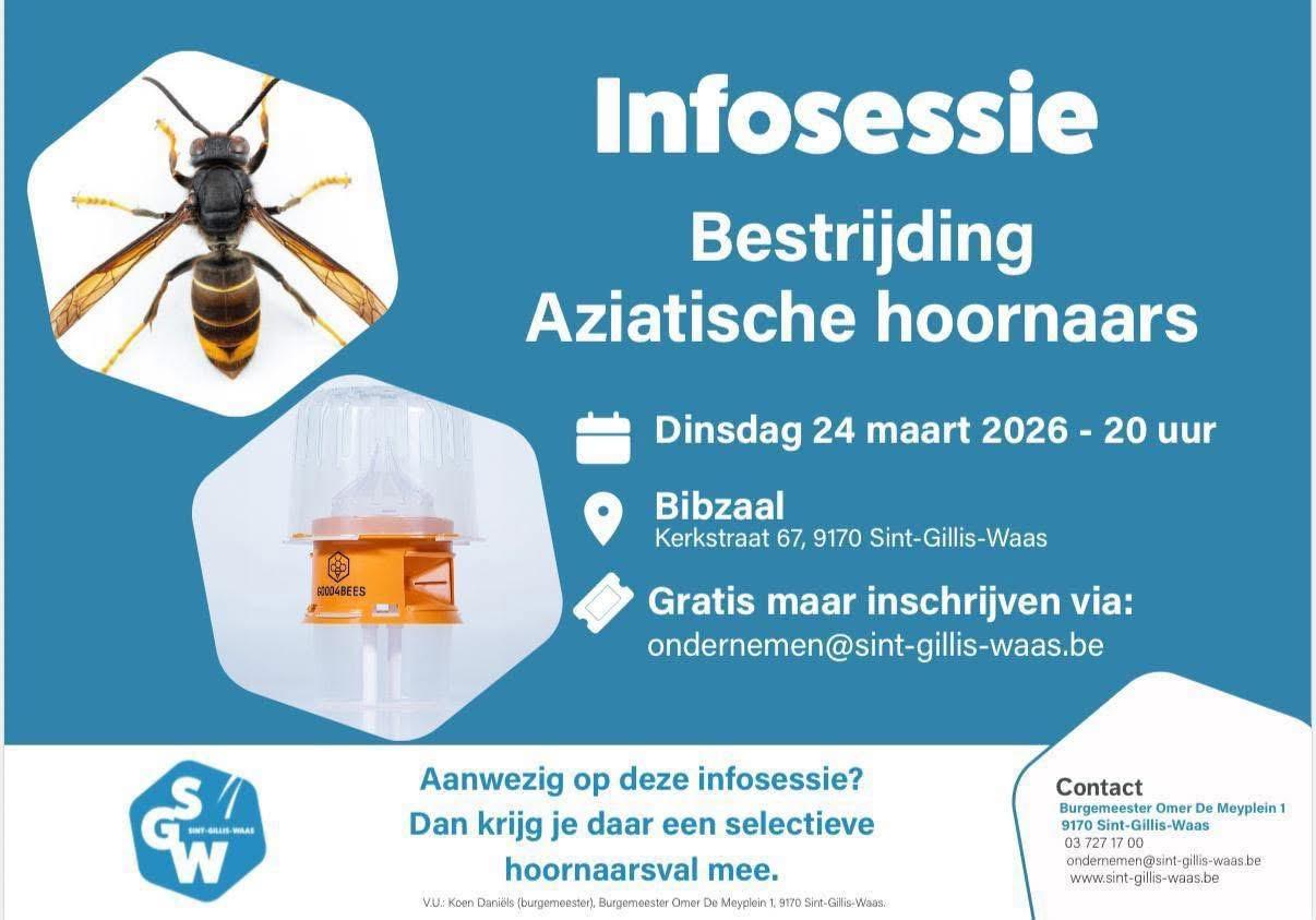 Vlaams Belang brengt strijd tegen Aziatische hoornaar in beweging