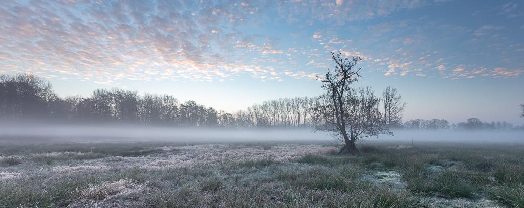 Vlaams Belang vraagt behoud landelijk karakter Balen na goedkeuring 2 nieuwe kavels naast natuurgebied Scheps