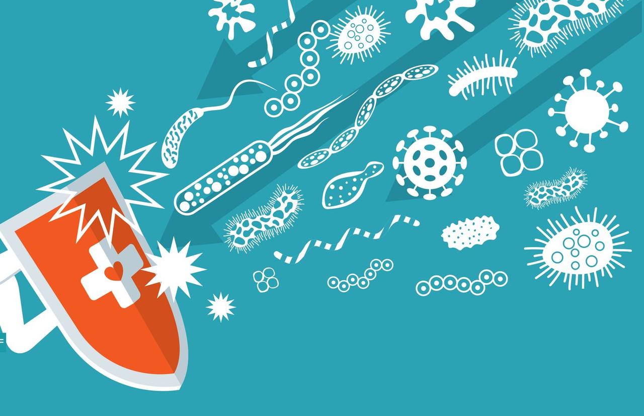 Het Vlaams Belang wil volledige ‘lockdown’ invoeren