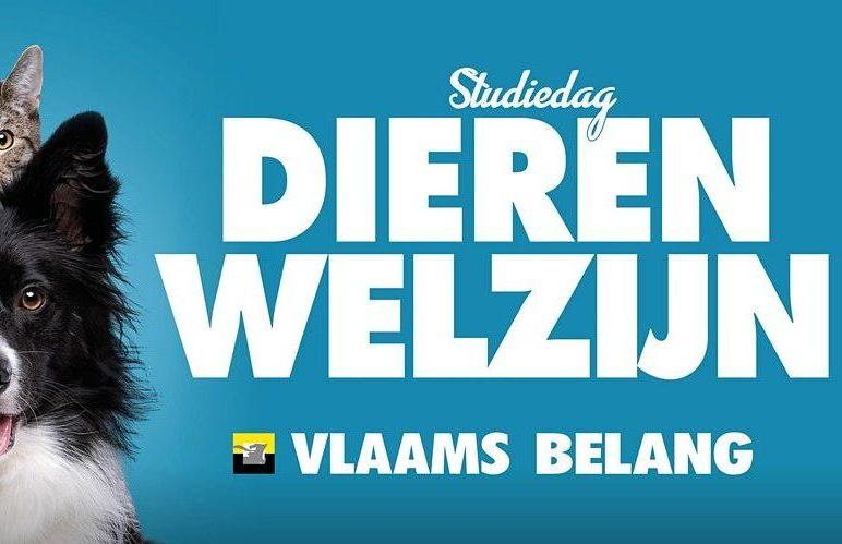 Studiedag Dierenwelzijn: “Maak eindelijk werk van Vlaamse Codex Dierenwelzijn”
