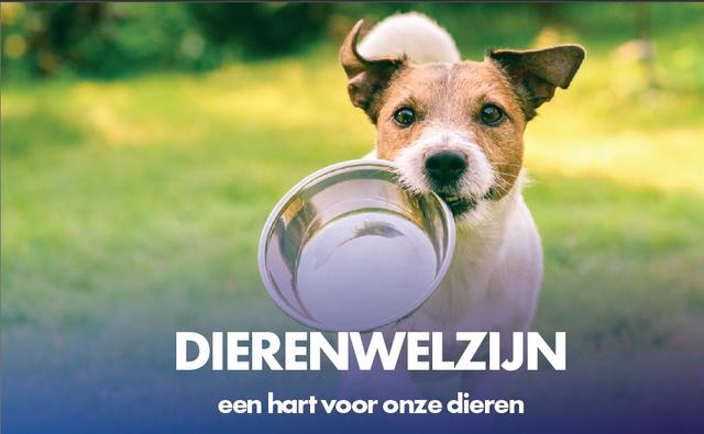 Dierenwelzijn