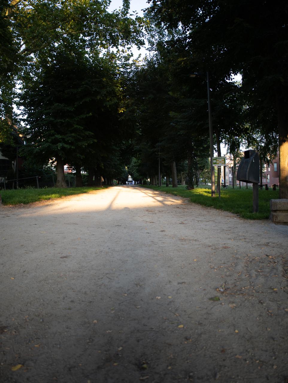 Speerpunt: Veiligheid