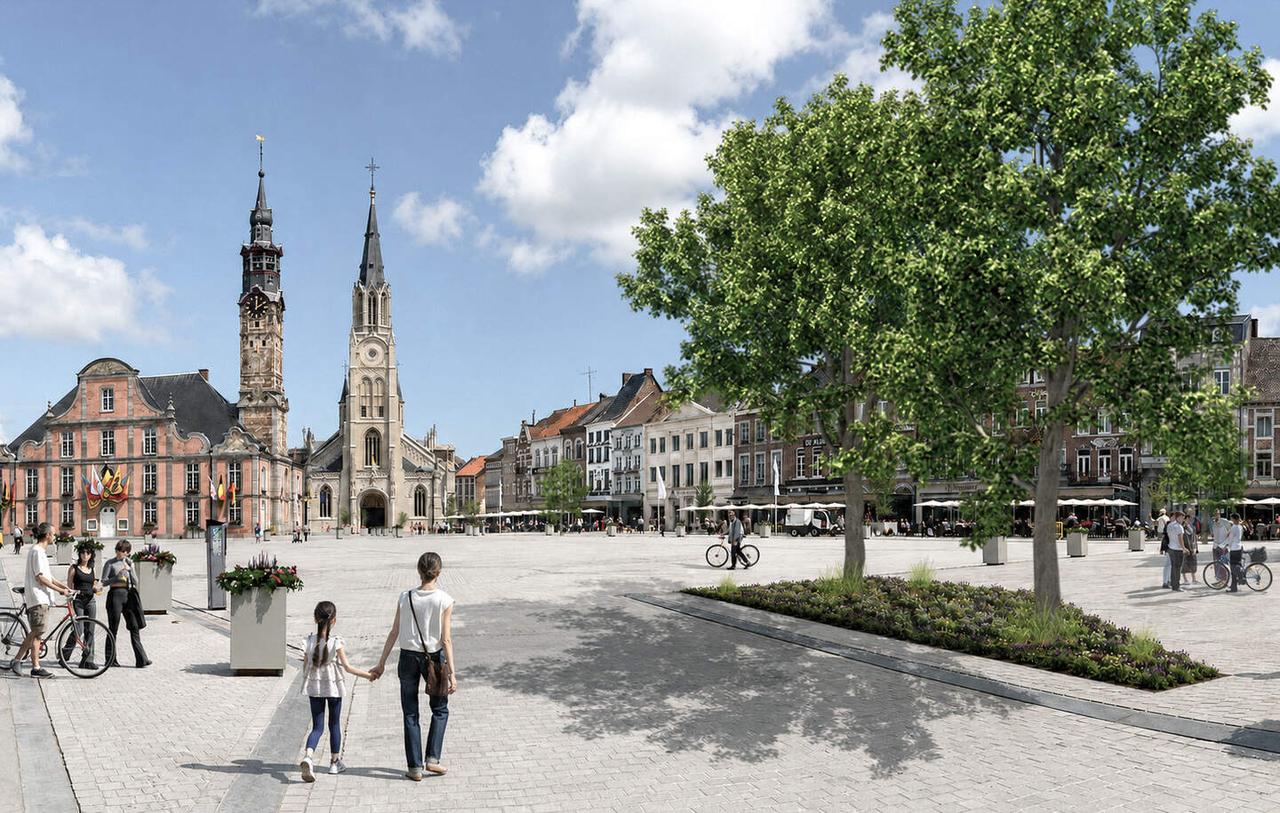  €157.000 voor 6 bomen op de Grote Markt: voor ons is dit budgettair onverantwoord