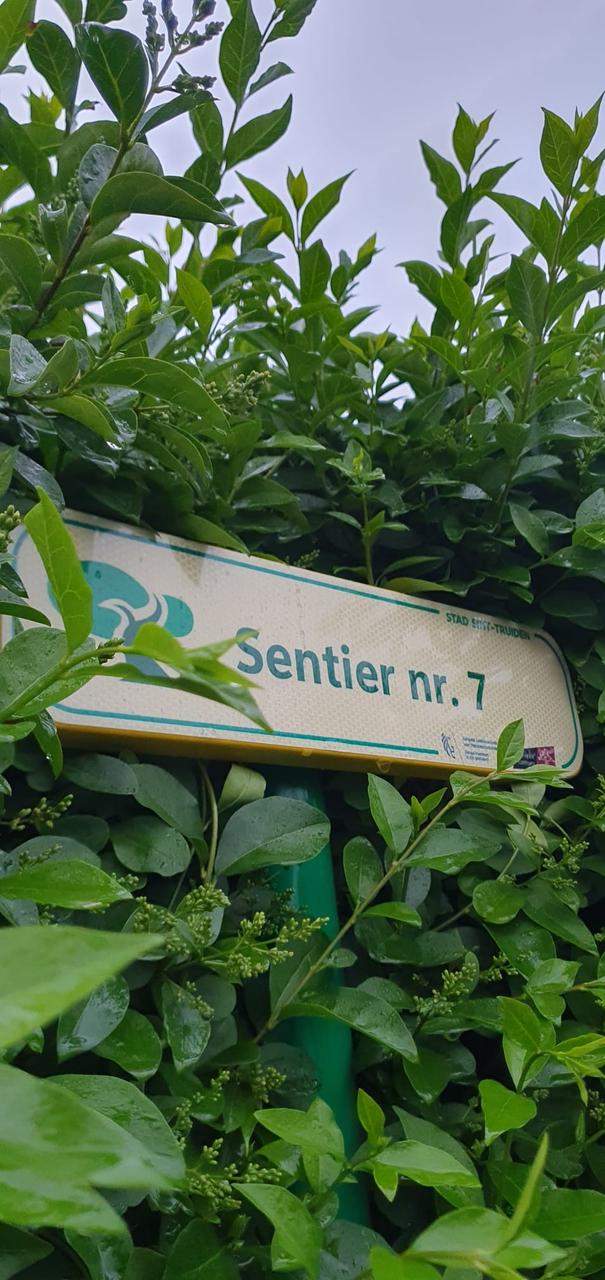 Vlaams Belang Sint-Truiden dient klacht in tegen stadsbestuur “Hier spreekt men Nederlands.”