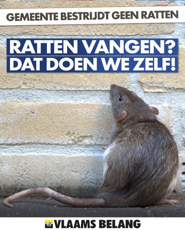 Ratten vangen? Dat doen we zelf!