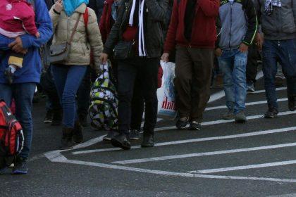 Nieuwe peiling: Europeanen willen dat massamigratie stopt