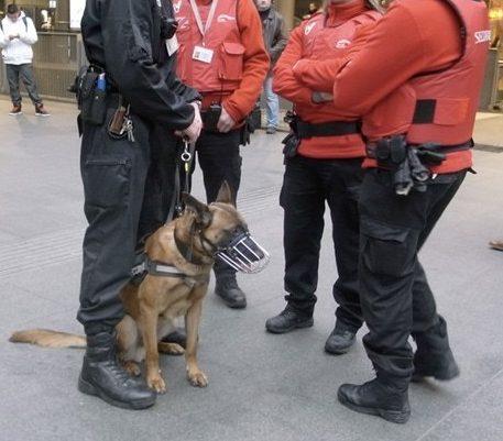 Vlaams Belang eist actie ter bescherming van Securail-personeel