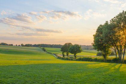 Nationale parken en Landschapsparken: “Luister ook naar de Landbouw”
