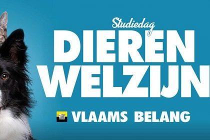 Studiedag Dierenwelzijn: “Maak eindelijk werk van Vlaamse Codex Dierenwelzijn”