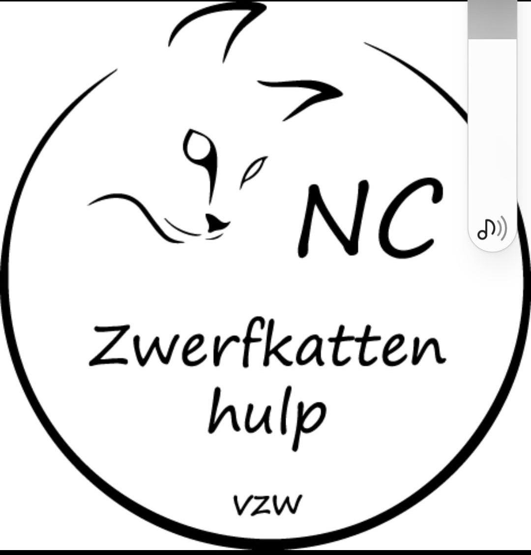 Benefiet Nc zwerfkattenhulp