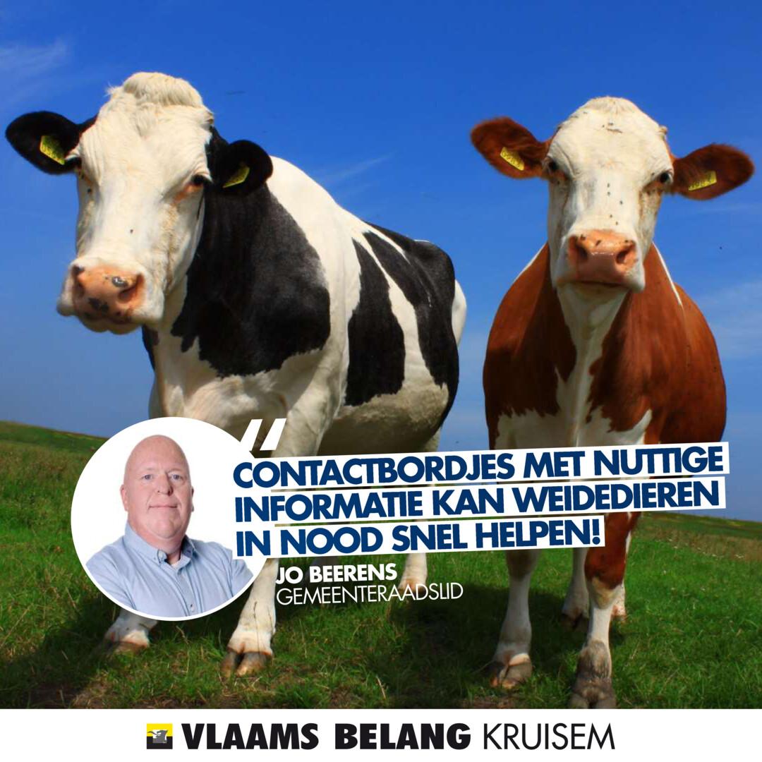 VLAAMS BELANG dient aanvraag in voor gratis informatiebordjes met contactgegevens voor weidedieren in nood!