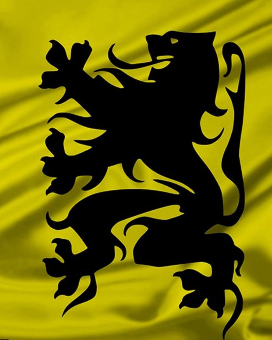 11 JULI KOMT ERAAN!, LAAT JE LEEUW WAPPEREN EN ONTVANG EEN LEUKE ATTENTIE.