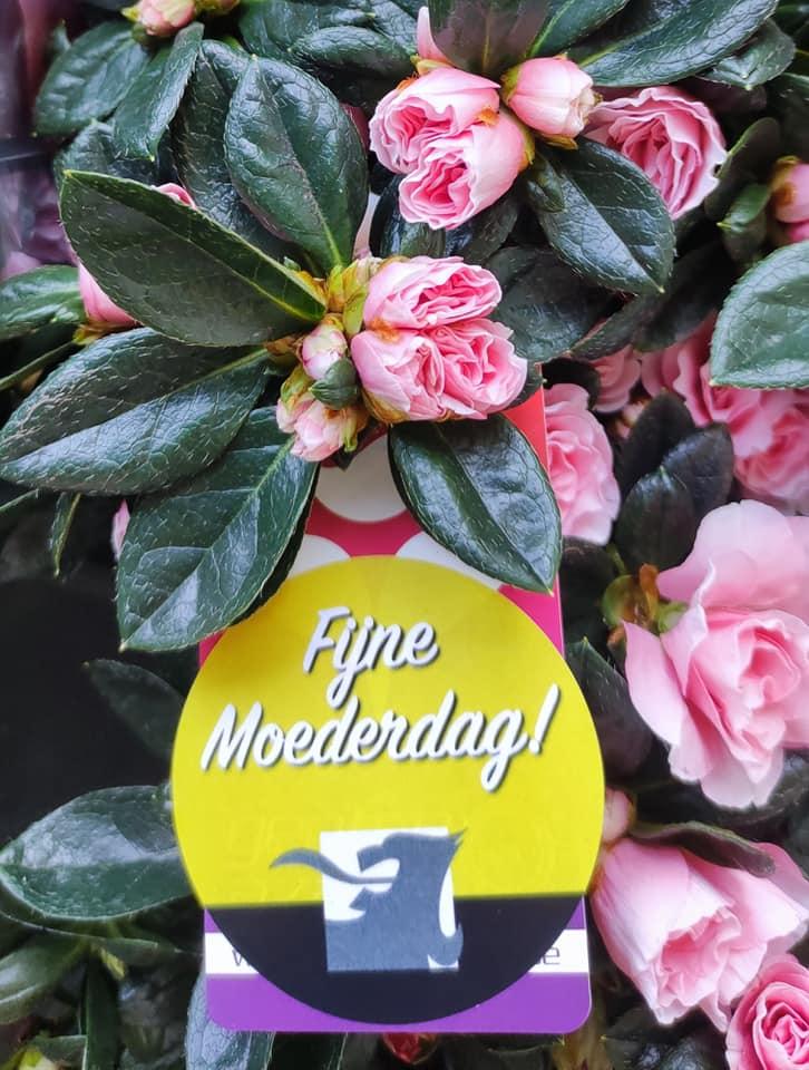 Fijne moederdag