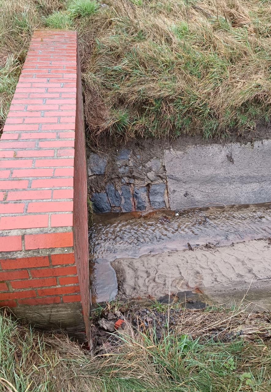 VLAAMS BELANG ZORGT VOOR UITBAGGEREN WATERLOOP IN DE LEENBOSLOS TE KRUISHOUTEM!