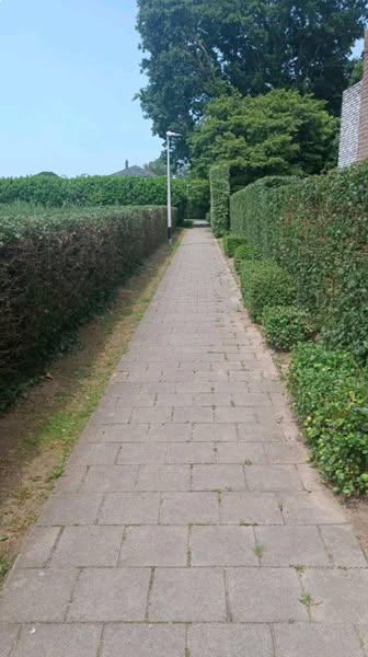 Vlaams Belang laat wandelpad in de Spilthoorestraat snel onderhouden.