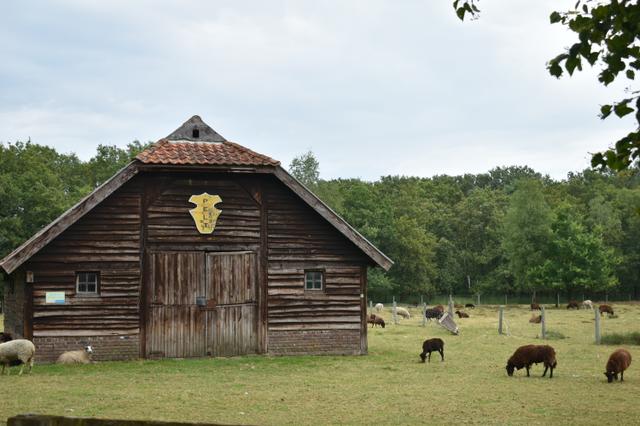 Welzijn ook voor dieren