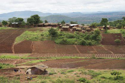 N-VA besteedt Vlaams belastinggeld liever aan Afrika dan aan Vlaamse gezinnen