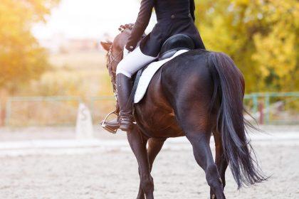 Vautmans (Open Vld) ijvert om eigen hobby goedkoper te maken