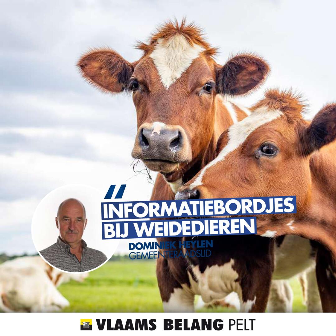 Gemeenteraad 27 maart 2025