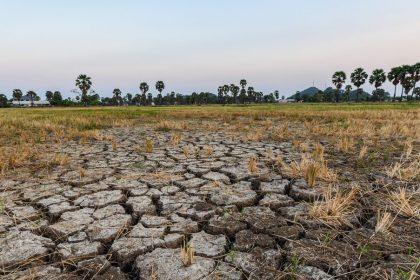 Rampenfonds: “Landbouwers moeten te lang wachten op steun”