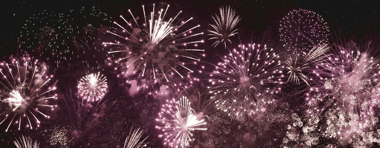 Oudejaar zonder dierenleed