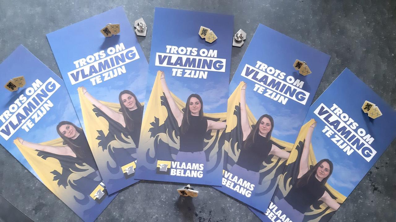 Pin voor het uithangen van de leeuwenvlag