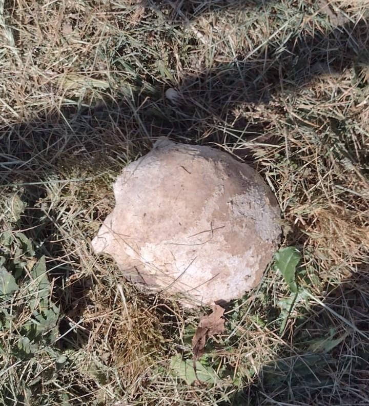 Wantoestanden op begraafplaats Bleekmeers