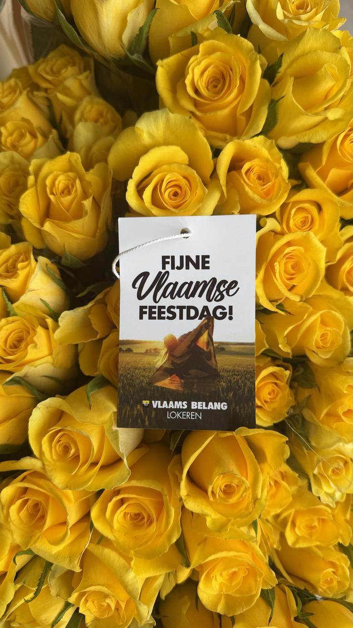 Vlaams Belang beloont wie leeuwenvlag uithangt op 11 juli 