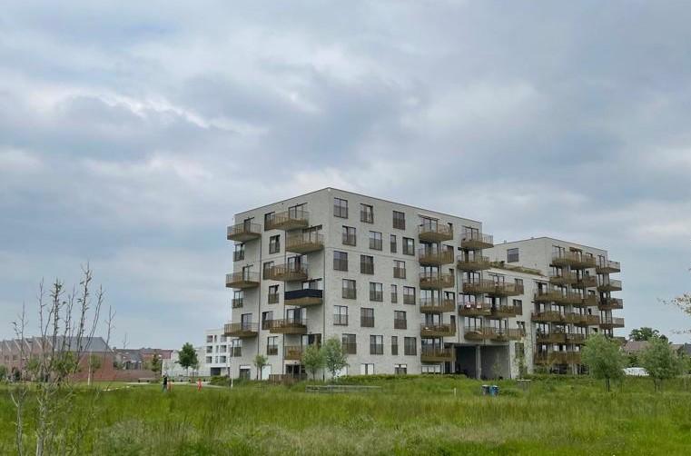 Vlaams Belang kaart straatterreur in Hoedhaarwijk aan op gemeenteraad