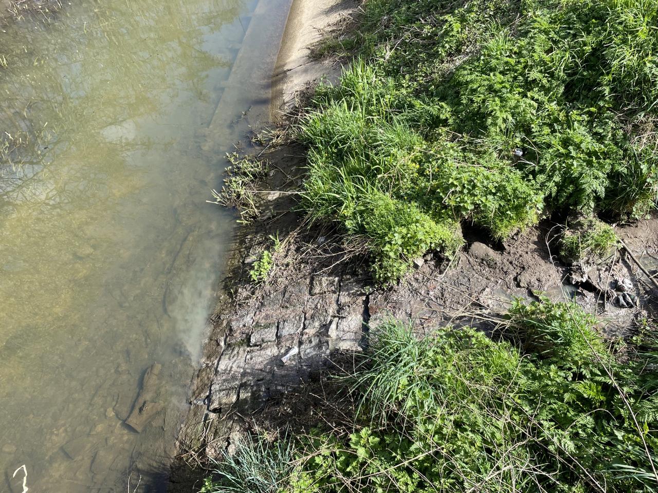 Rioolwater Hovenierstraat blijkt rechtstreeks in Lede te stromen