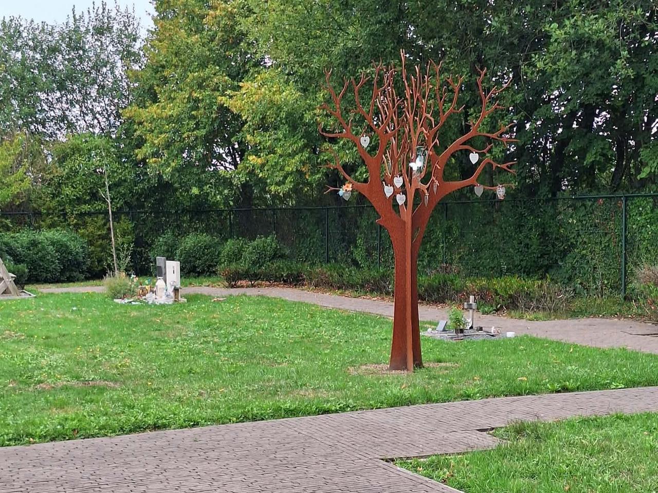 Vlaams Belang Herselt pleit voor sterrenboom op oude begraafplaats van Ramsel