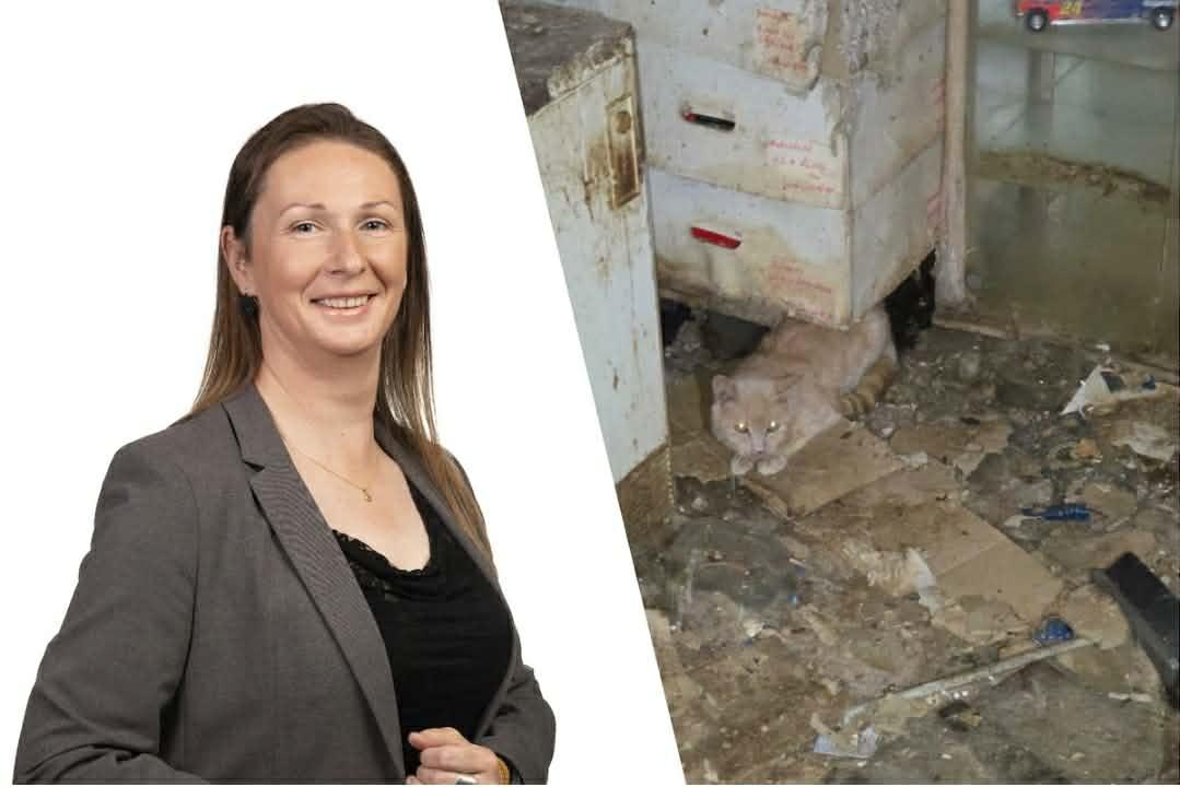 Vlaams Belang Herselt kaart dierenmishandeling in Herselt aan