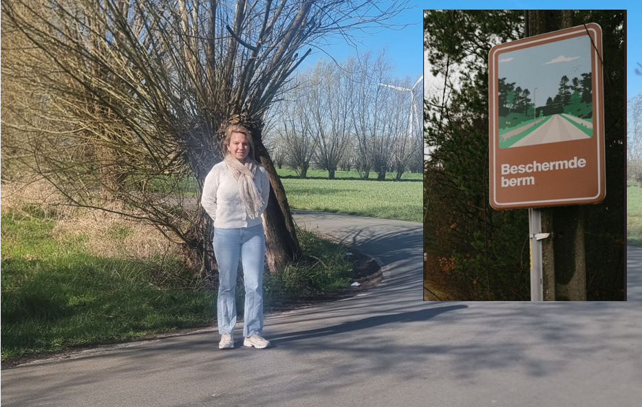 Vlaams Belang vraagt sensibilisering sluikstorten via borden “Beschermde berm”.