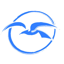 VNJ Liedekerke plant net geen 1.000 bomen: “Toekomstige speelbossen om in te ravotten”