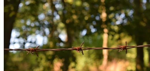 A.s. zaterdag actie tegen komst nieuwe asielcentra i/d Rand. Afspraak om 10u, Kattebroekstraat 199 in Dilbeek