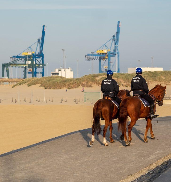 "Regering blind en doof voor illegalen"