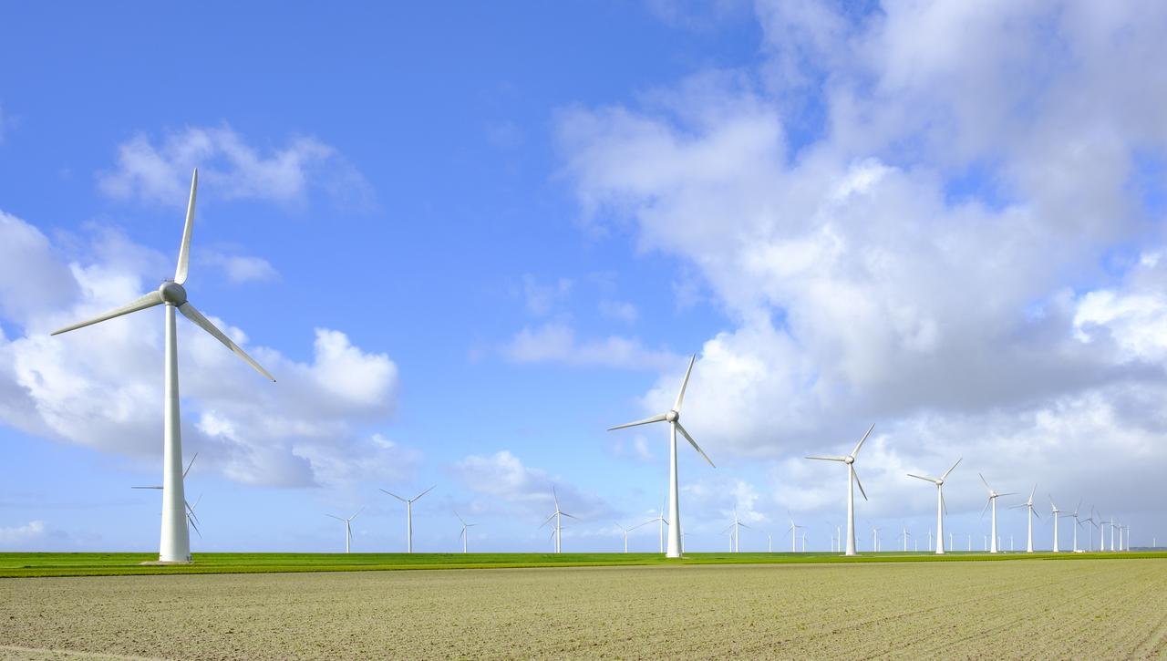 Vlaams Belang blijft zich verzetten tegen gepland Frans windmolenproject met grote impact op de westkust!
