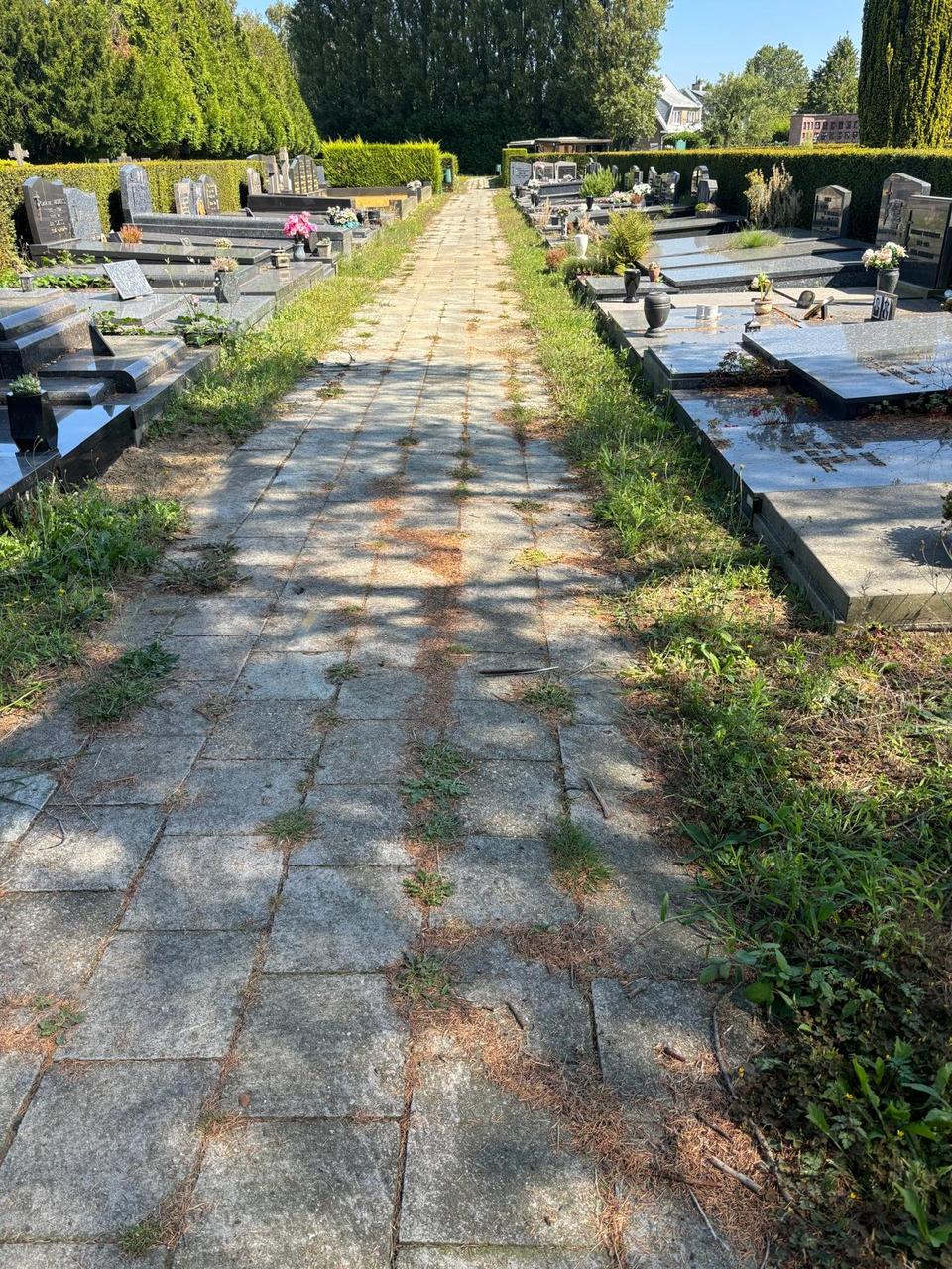 De groendienst verdient extra middelen en onze overledenen extra respect.